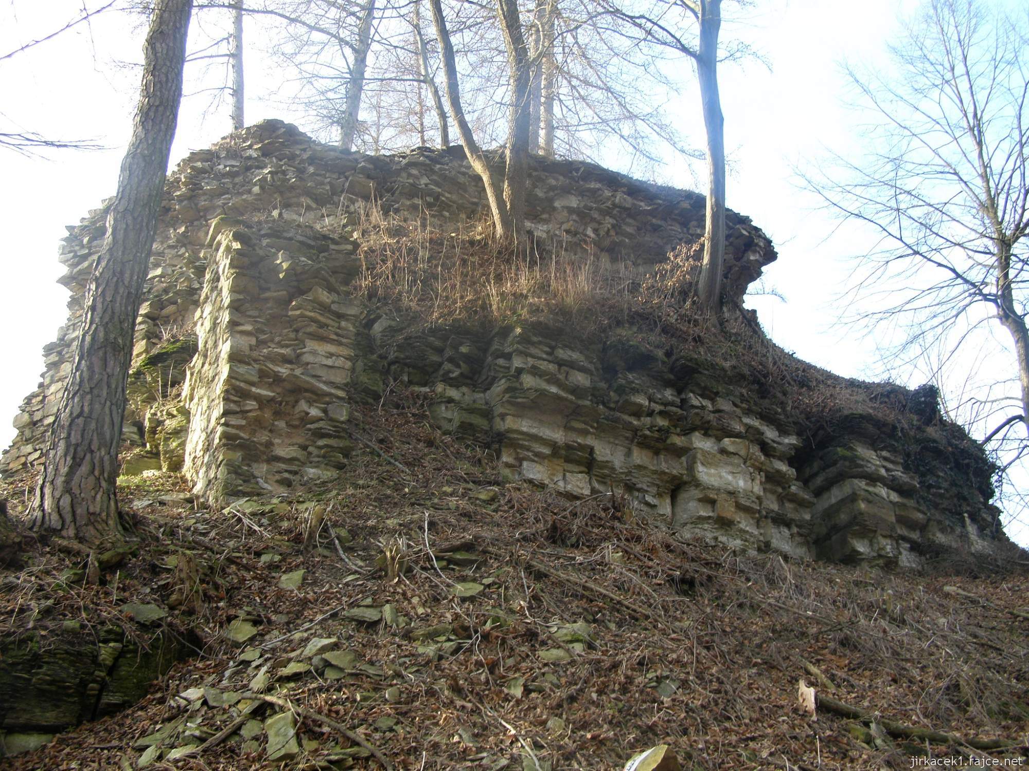 Brandýs nad Orlicí - zřícenina hradu 03 - pozůstatek zdi