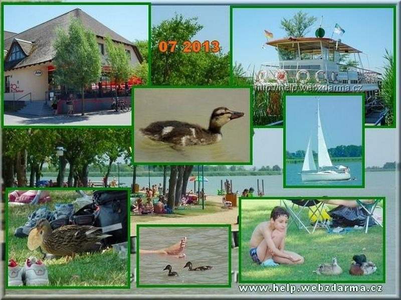 Neusiedler 2013