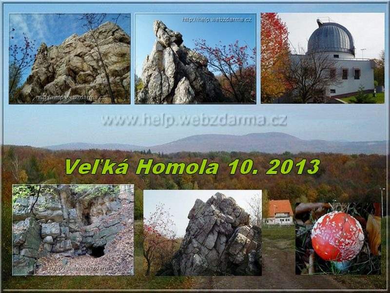Vel. Homola 2013