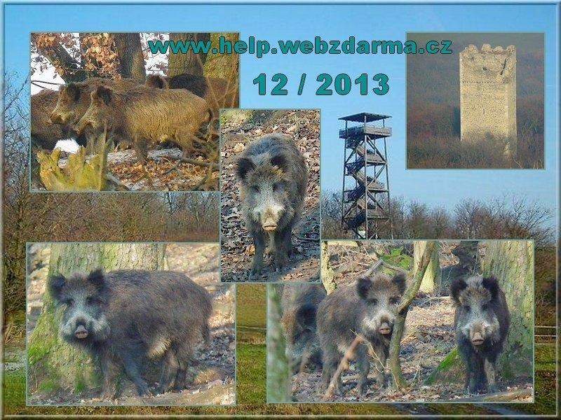 konigswarte 12 2013