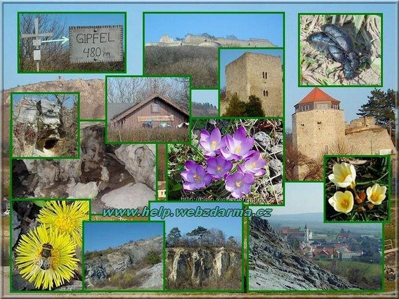 Hainburg 2014