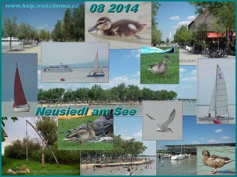 Neusiedl 2014