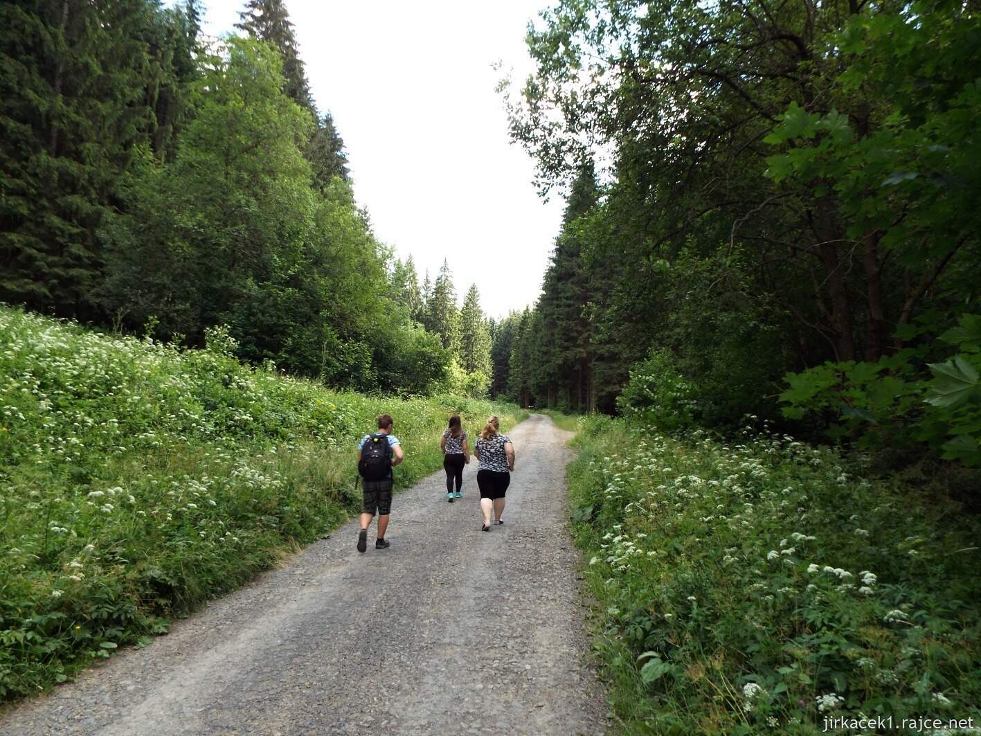 029 - cesta na Javorníček 06 - po žluté lesem na rozcestí Pluskovec Polomová