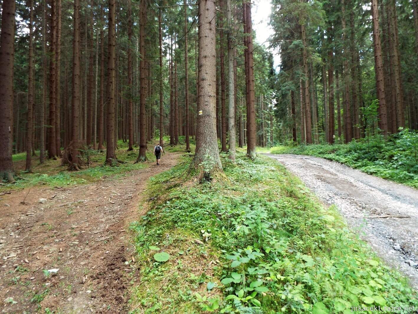 029 - cesta na Javorníček 10 - po žluté lesem na Javorníček