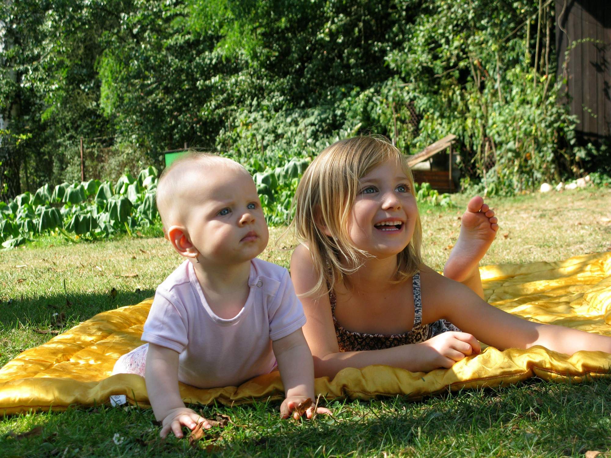 rajce idnes 2016 holky léto 2016 – roslenka – album na Rajčeti