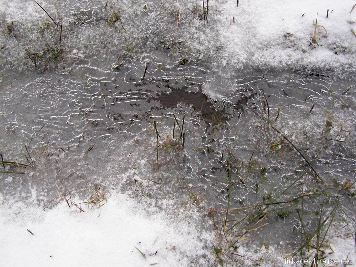 Bukovec - přírodní rezervace a rašeliniště - zimní pohled na louku