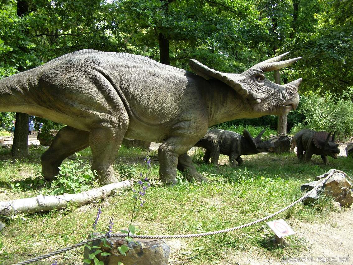 Dinopark Plzeň 02 - Triceratops