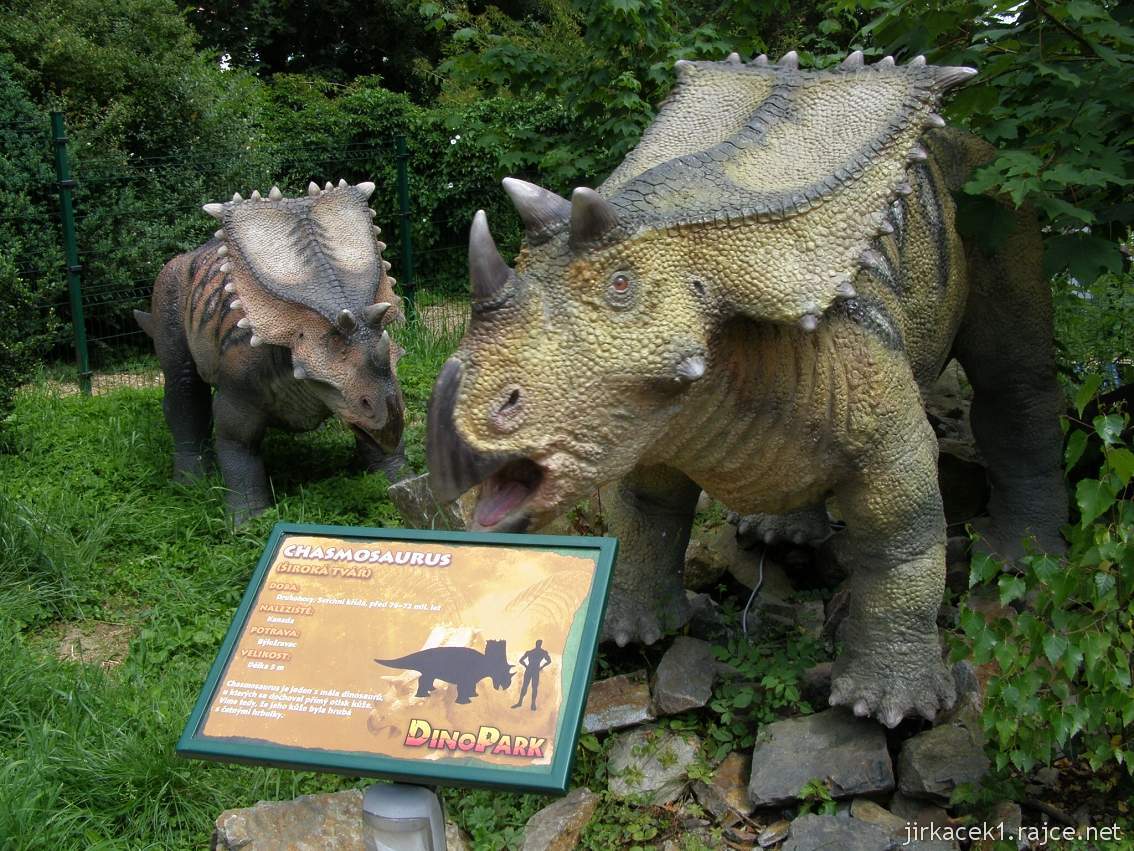 Dinopark Plzeň 11 - Chasmosaurus