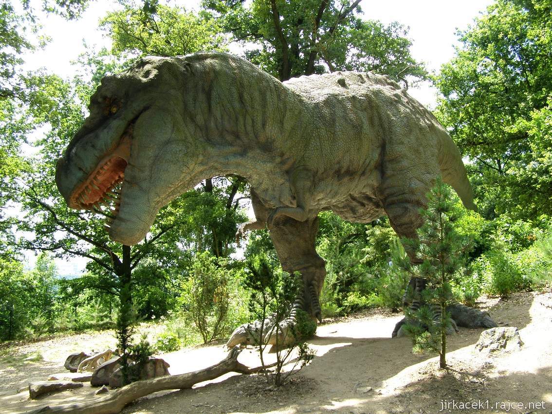 Dinopark Plzeň 15 - Tyrannosaurus Rex