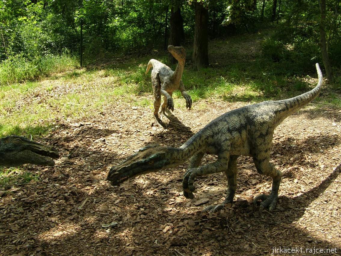Dinopark Plzeň 19 - Velociraptor