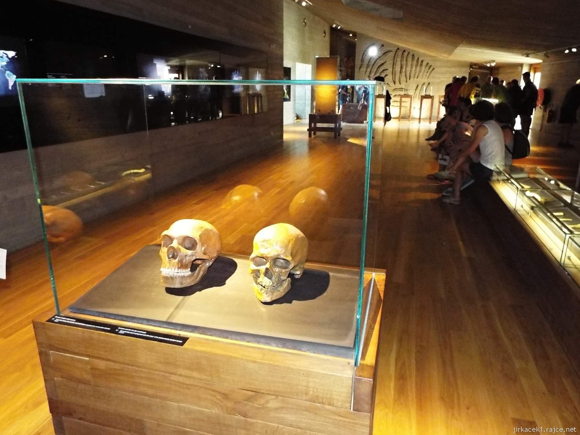 Archeopark Pavlov 08 - expozice Člověk a krajina ledové doby - lebky