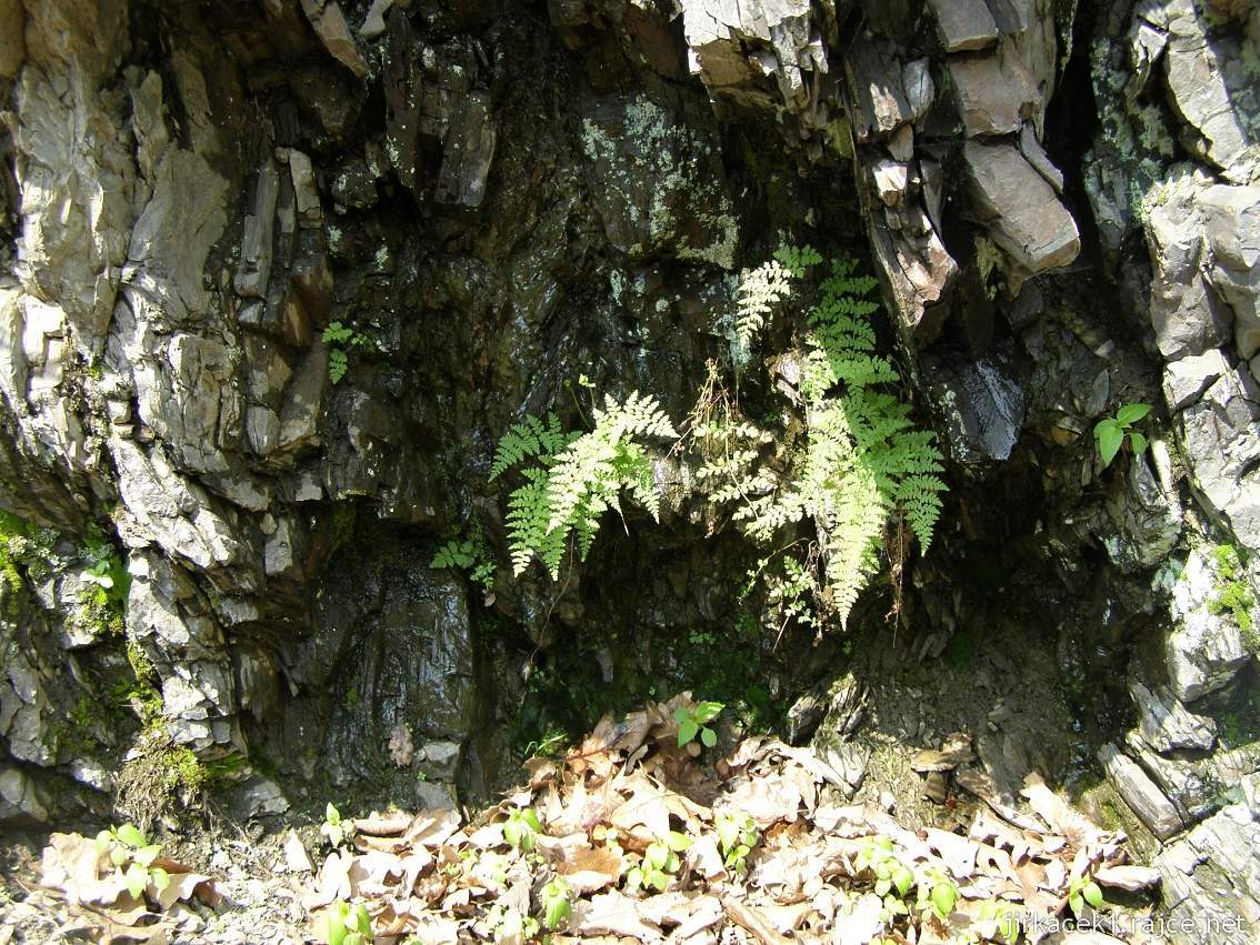 C - Žimrovická skála 04