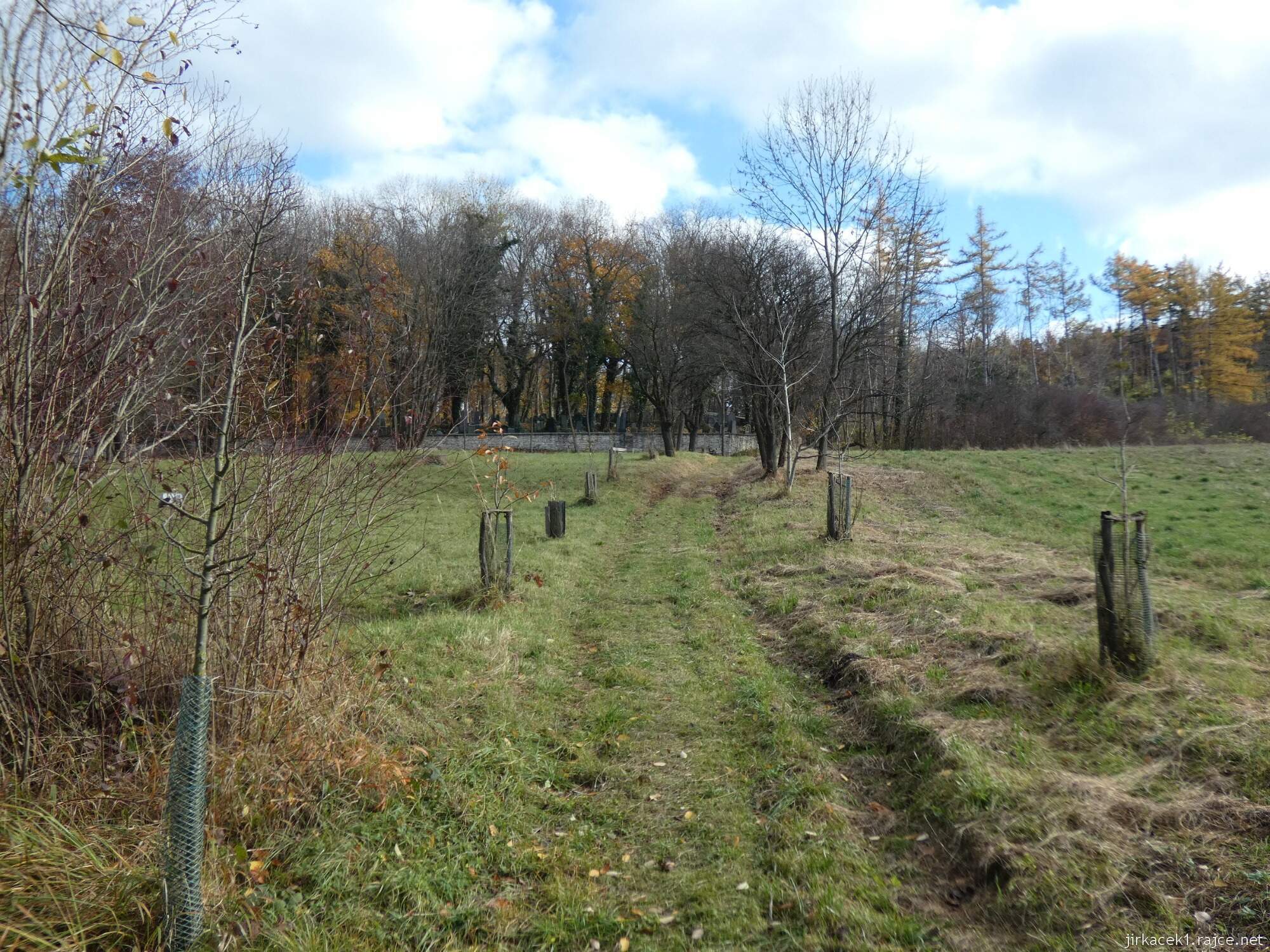 Luže - židovský hřbitov 004