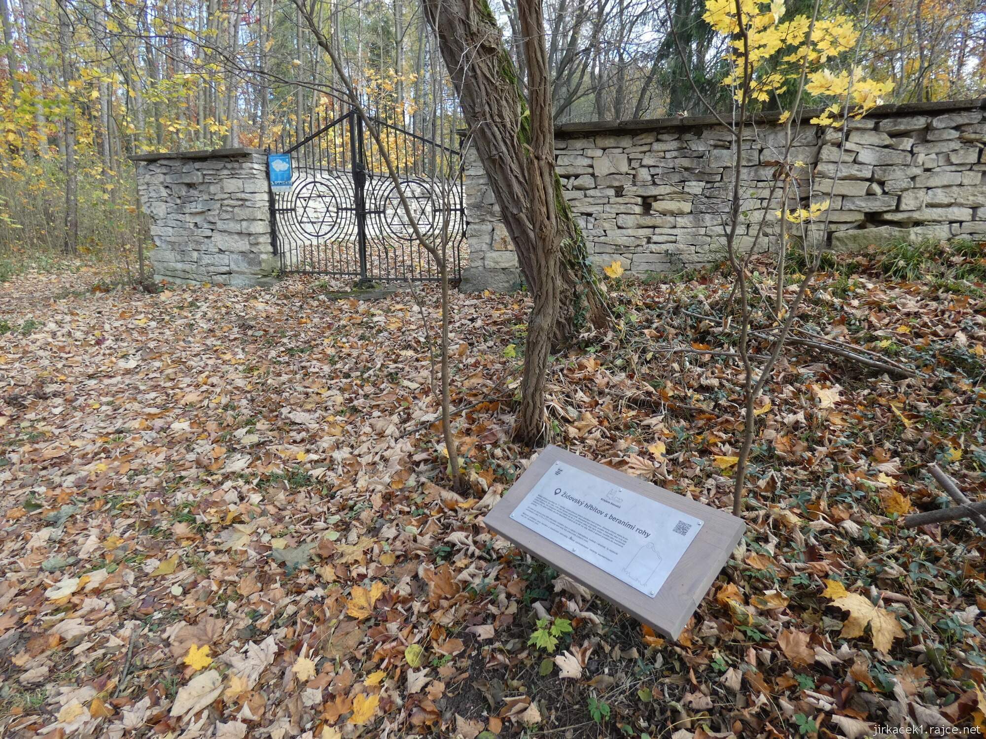Luže - židovský hřbitov 009