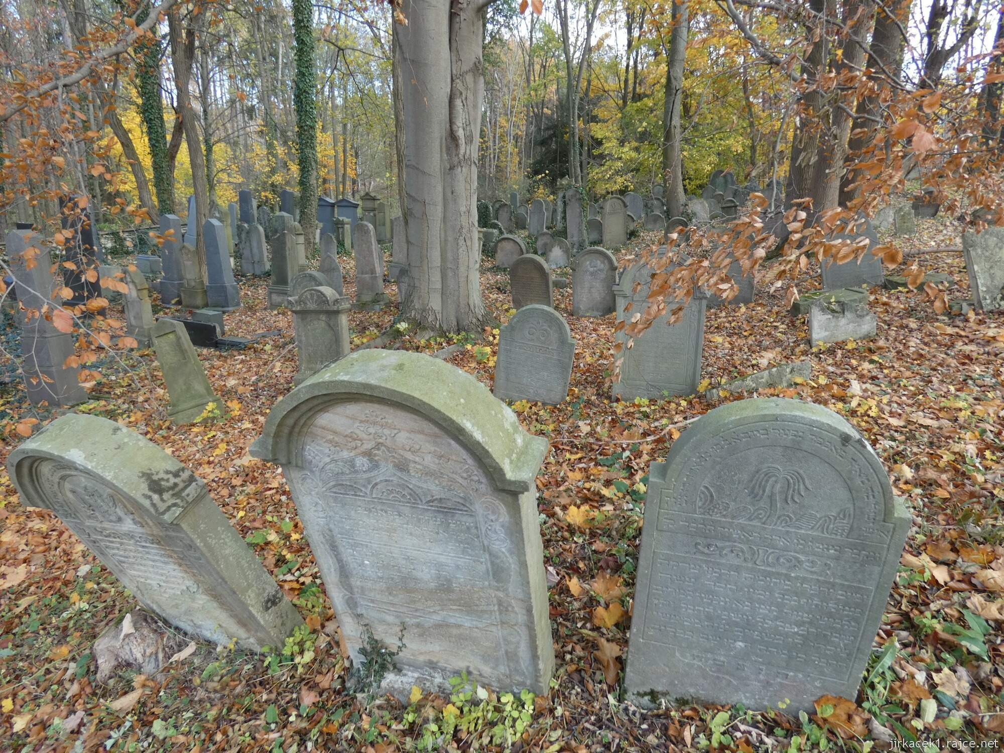 D - Luže - židovský hřbitov 019