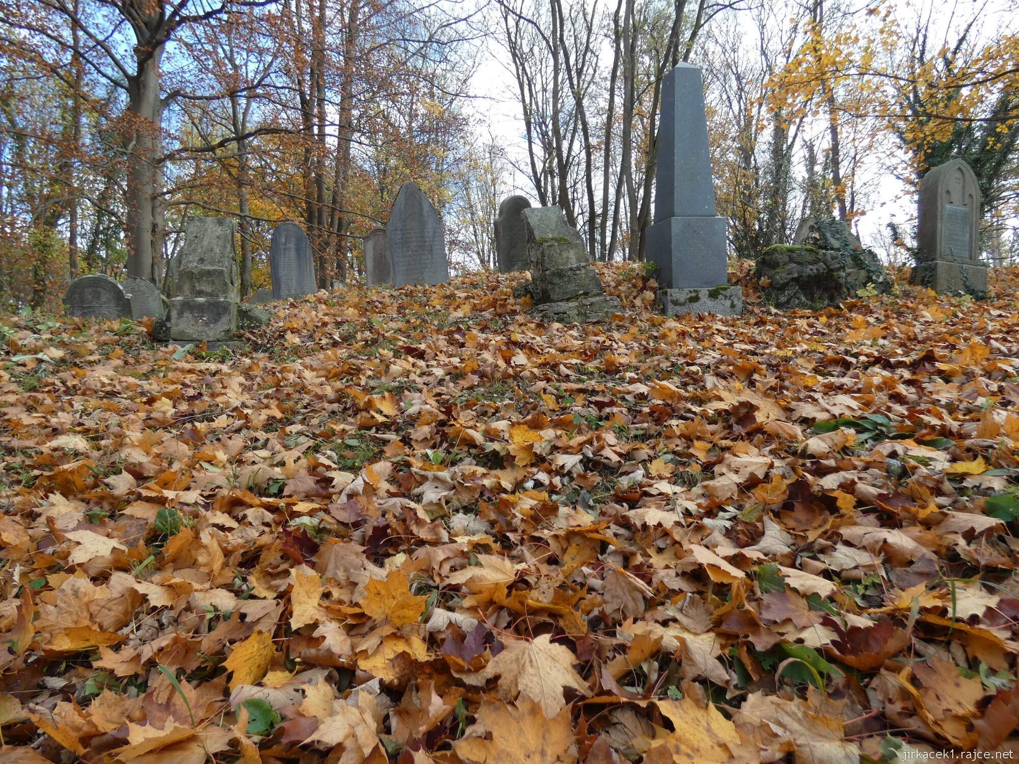 D - Luže - židovský hřbitov 053