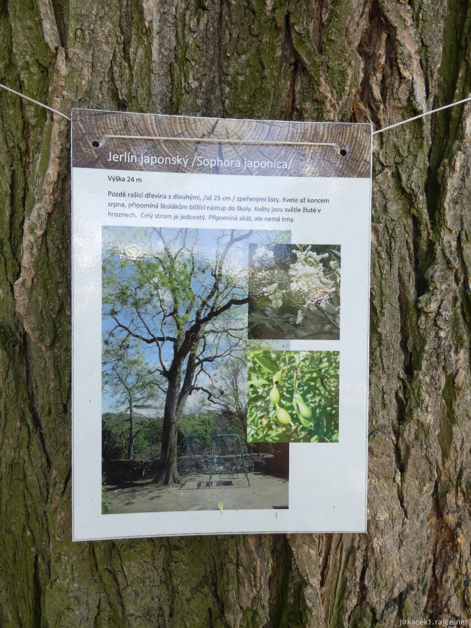 K - Kouřim - městský park Na hradbách 005