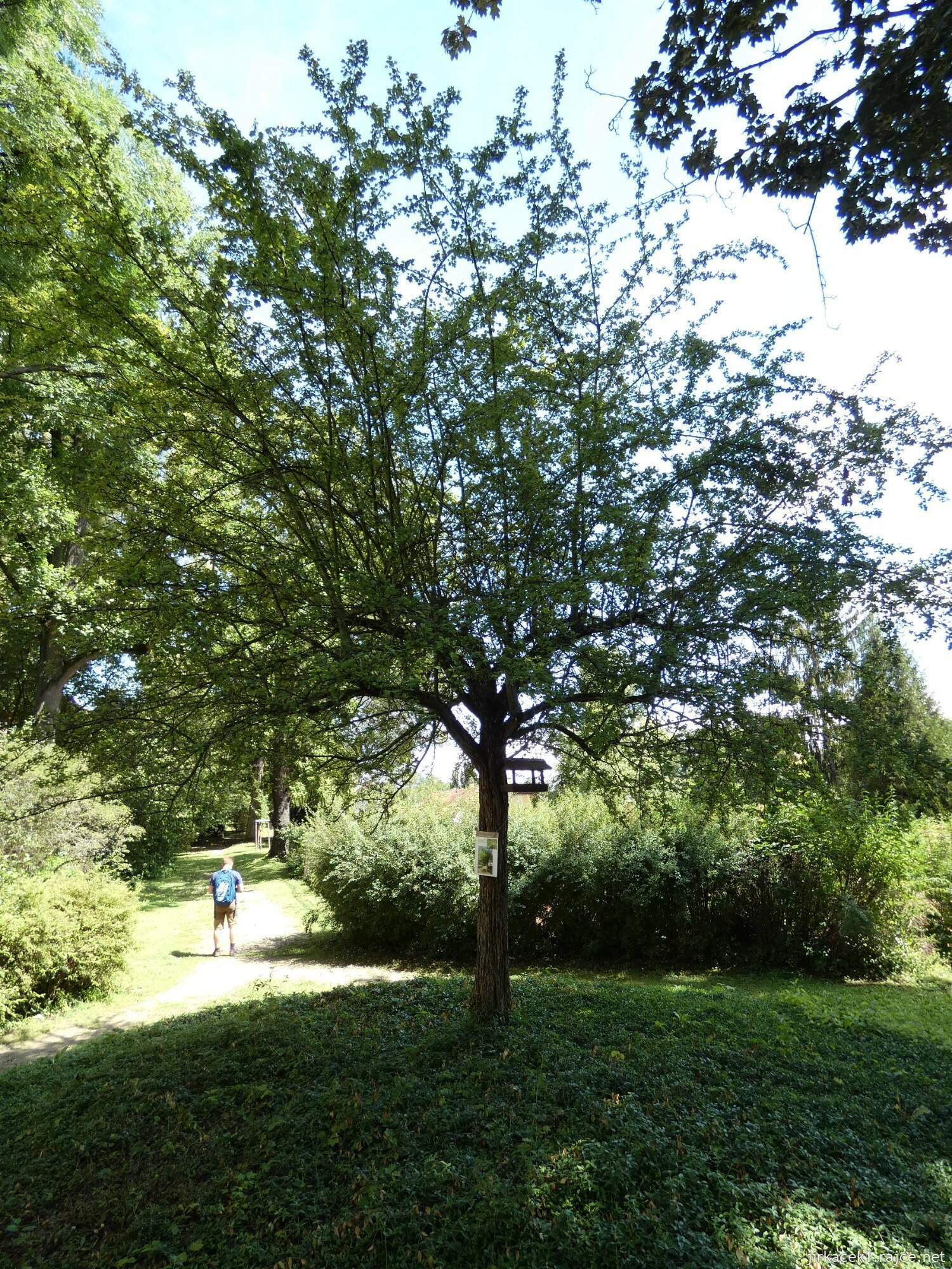 K - Kouřim - městský park Na hradbách 056