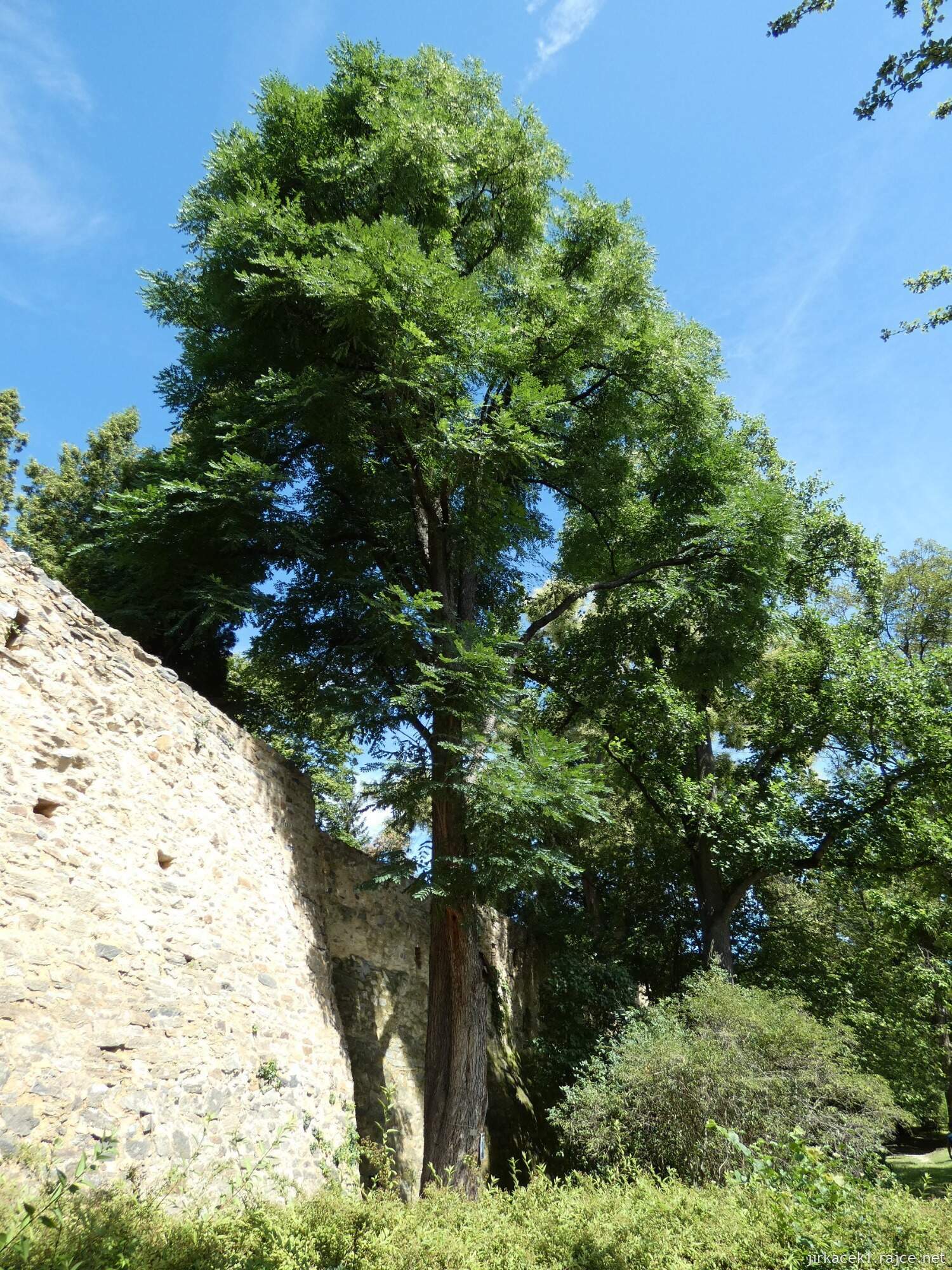 K - Kouřim - městský park Na hradbách 062