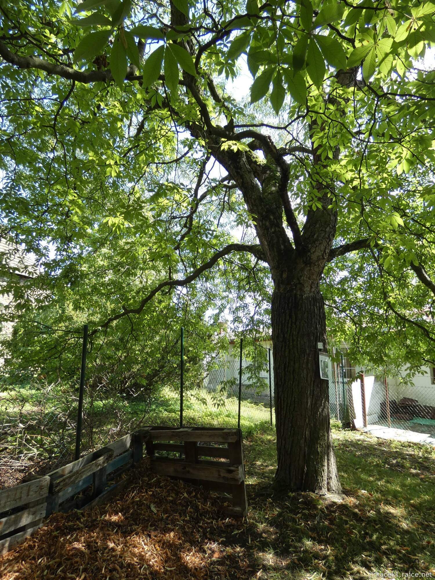 K - Kouřim - městský park Na hradbách 074