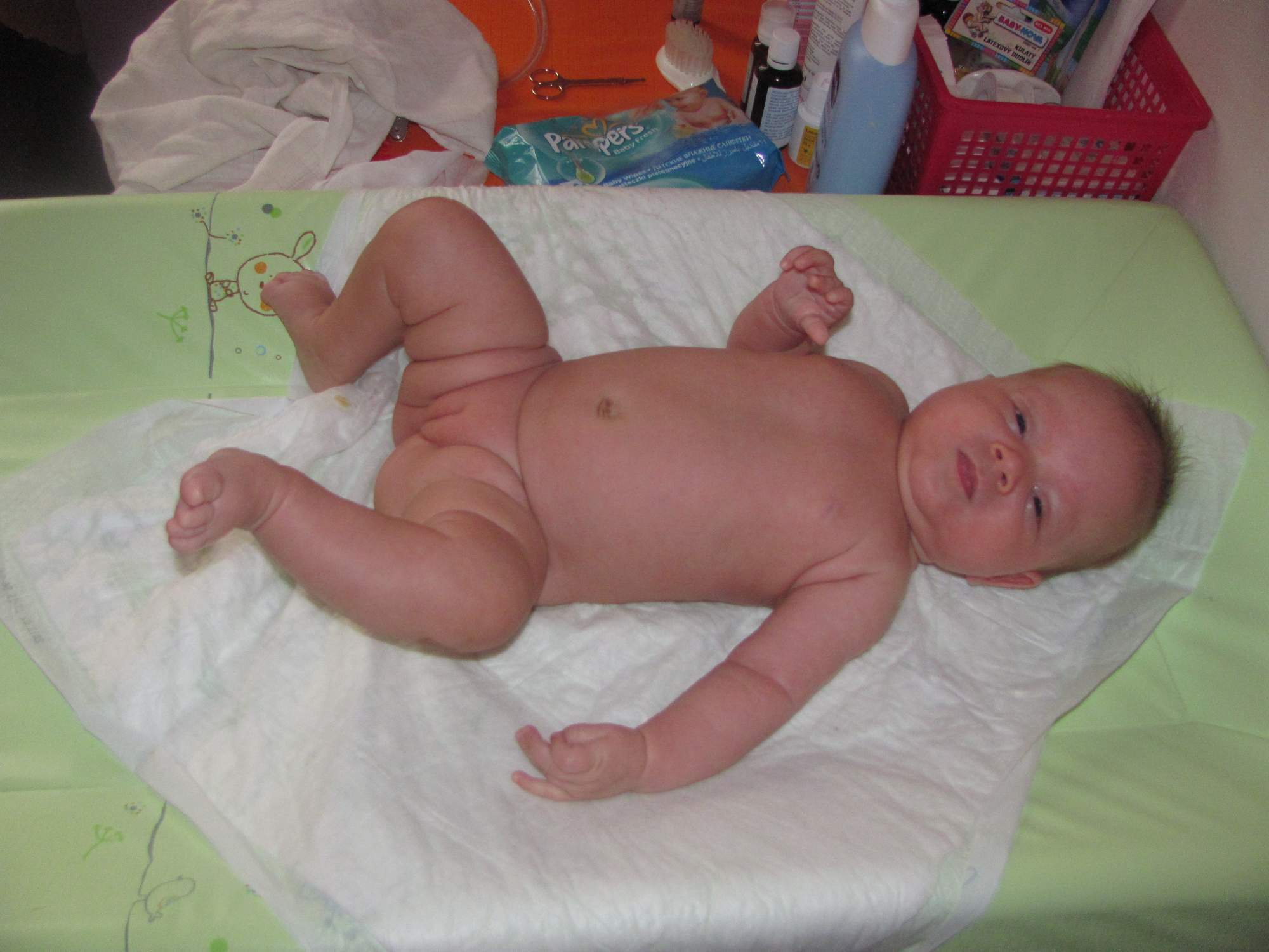 rajce.idnes.cz baby.18